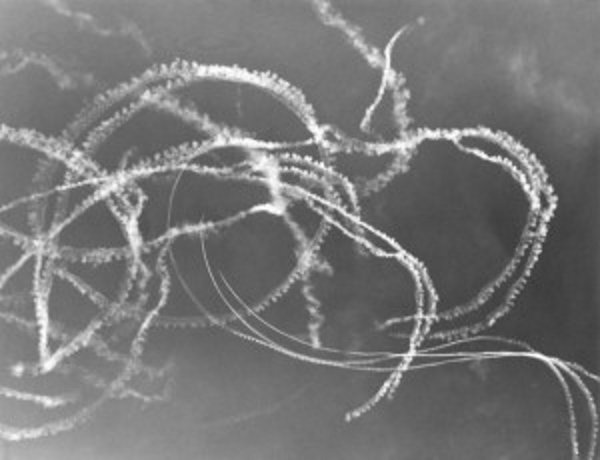 dogfight1962.jpg