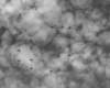 pl57393_small.jpg