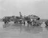 pl82246_small.jpg