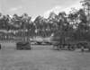 pl84755_small.jpg